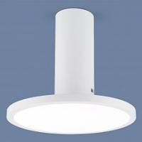 Накладной светильник Elektrostandard DLS029 a047771