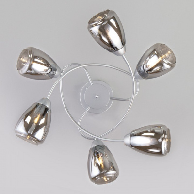 Потолочная люстра Eurosvet Noemi 30168/6 матовое серебро. Фото №2