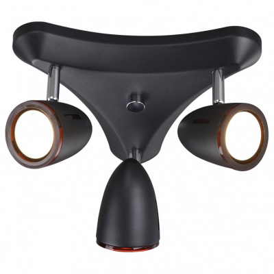 Спот Odeon Light Imagio 3824/3C. Фото