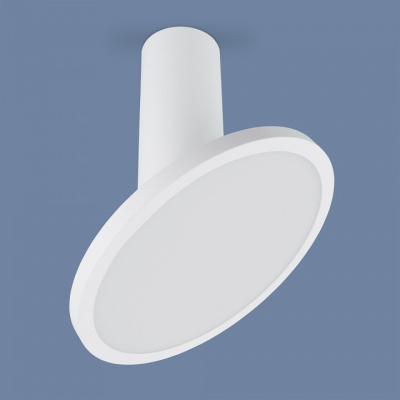 Накладной светильник Elektrostandard DLS029 a047771. Фото