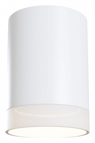 Накладной светильник Maytoni Pauline C008CW-01W. Фото №1
