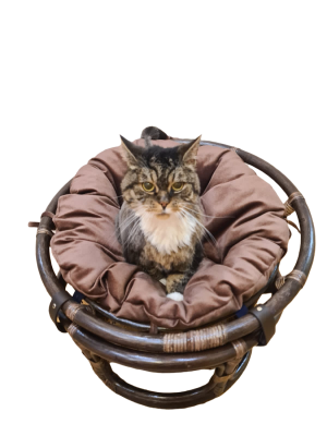 Кресло папасан - мини 23/01Е, цвет: темно - коричневый. Фото №4