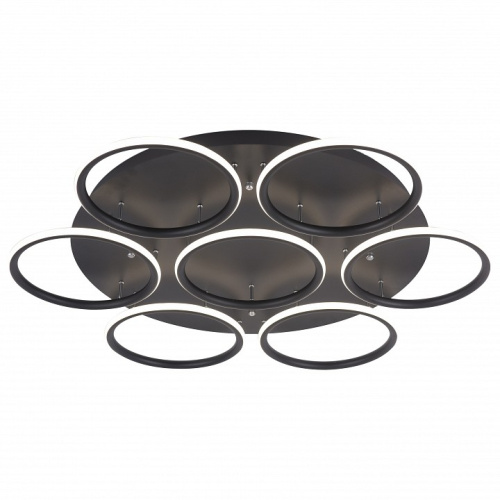 Потолочная люстра Arte Lamp 2500 A2500PL-7BK. Фото №1