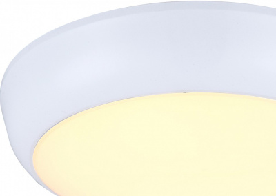 Накладной светильник Globo John 32116. Фото