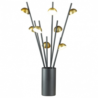 Настольная лампа декоративная Odeon Light Verica 4156/24TL. Фото